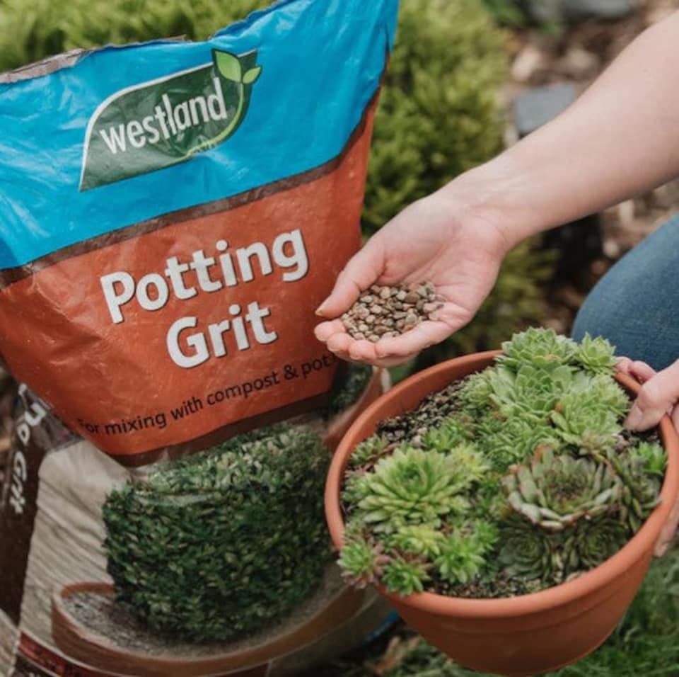 image 1 of Westland Potting Grit For Compost Mixing or Pot Topping - 20Kg