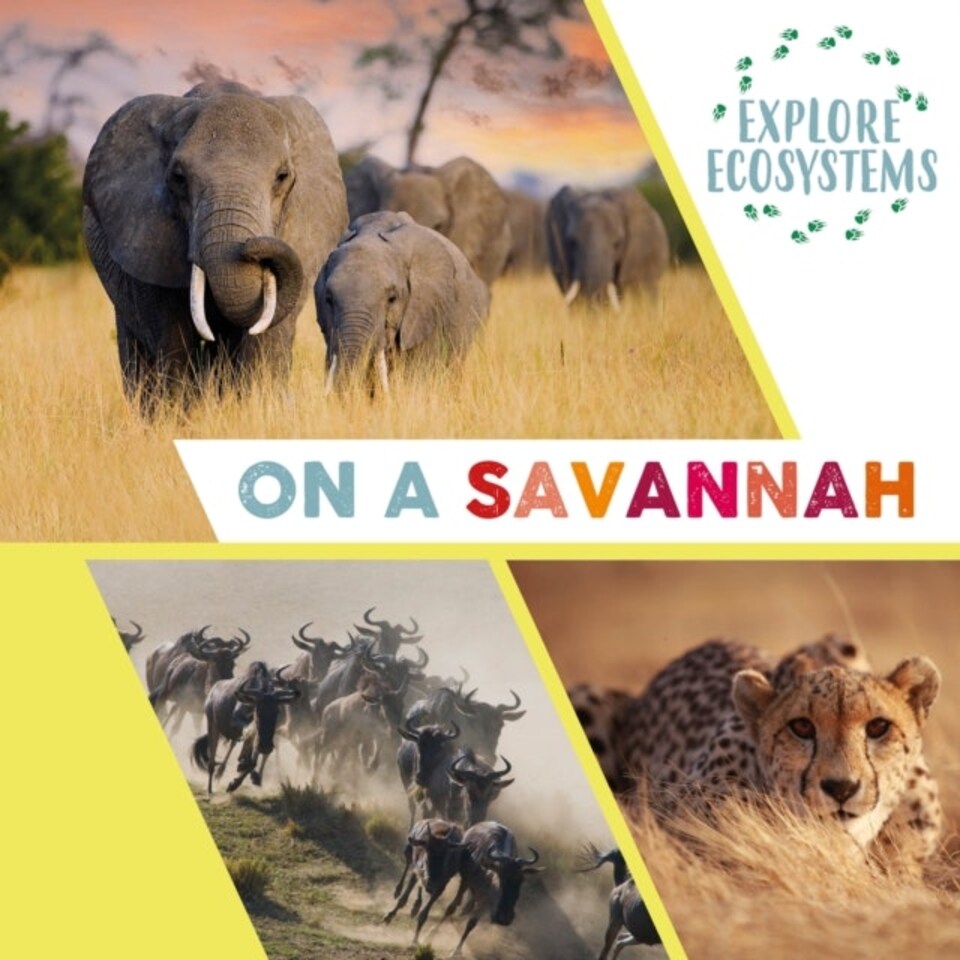 Explore Ecosystems: On A Savannah