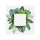image 1 of Botanical Frame Splash Back | White