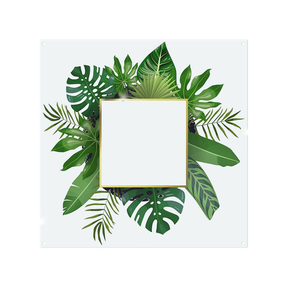 image 1 of Botanical Frame Splash Back | White