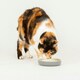 image 4 of Scruffs Classic Pet Saucer 13cm Grey | Grey | 1