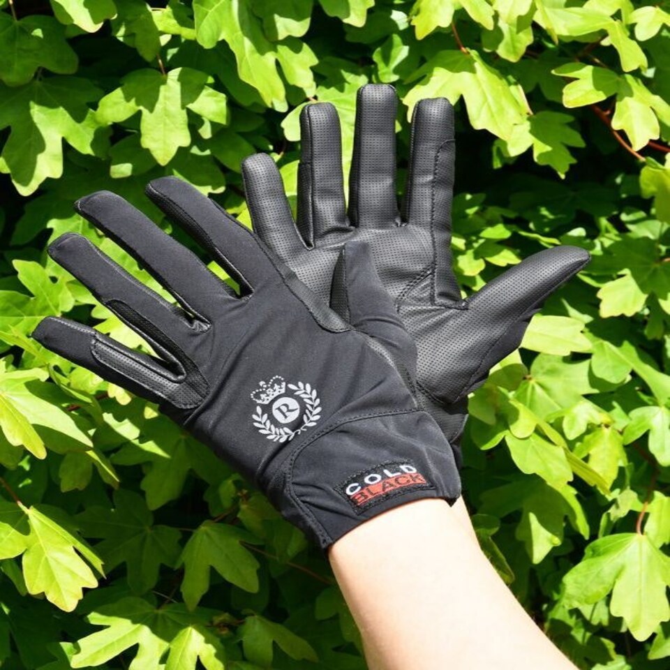 Rhinegold Fine Mesh Stretch Riding Glove Black | Size: Large
Colour: Black