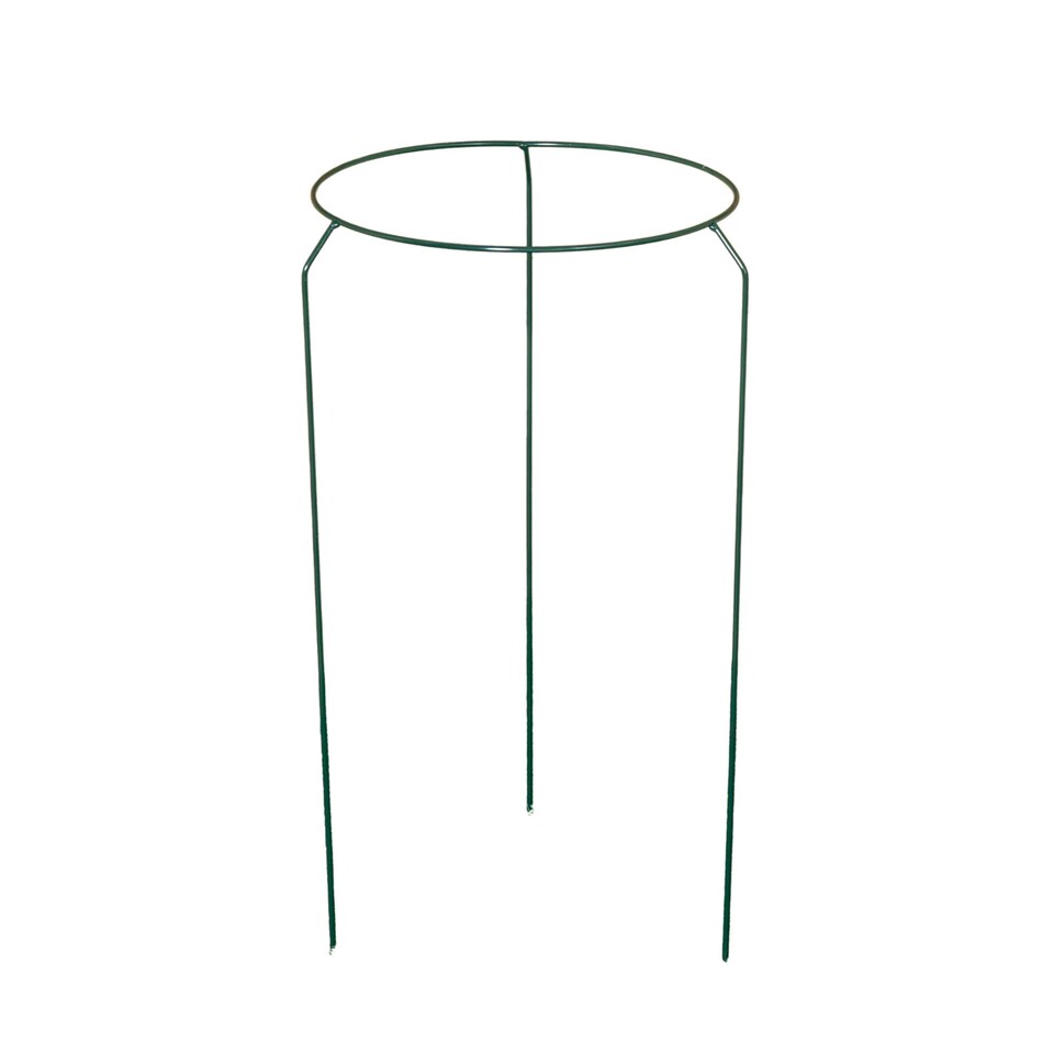 image 1 of Tom Chambers Urban Metal Herbaceous Garden Plant Support Ring Medium 30cm x 50cm