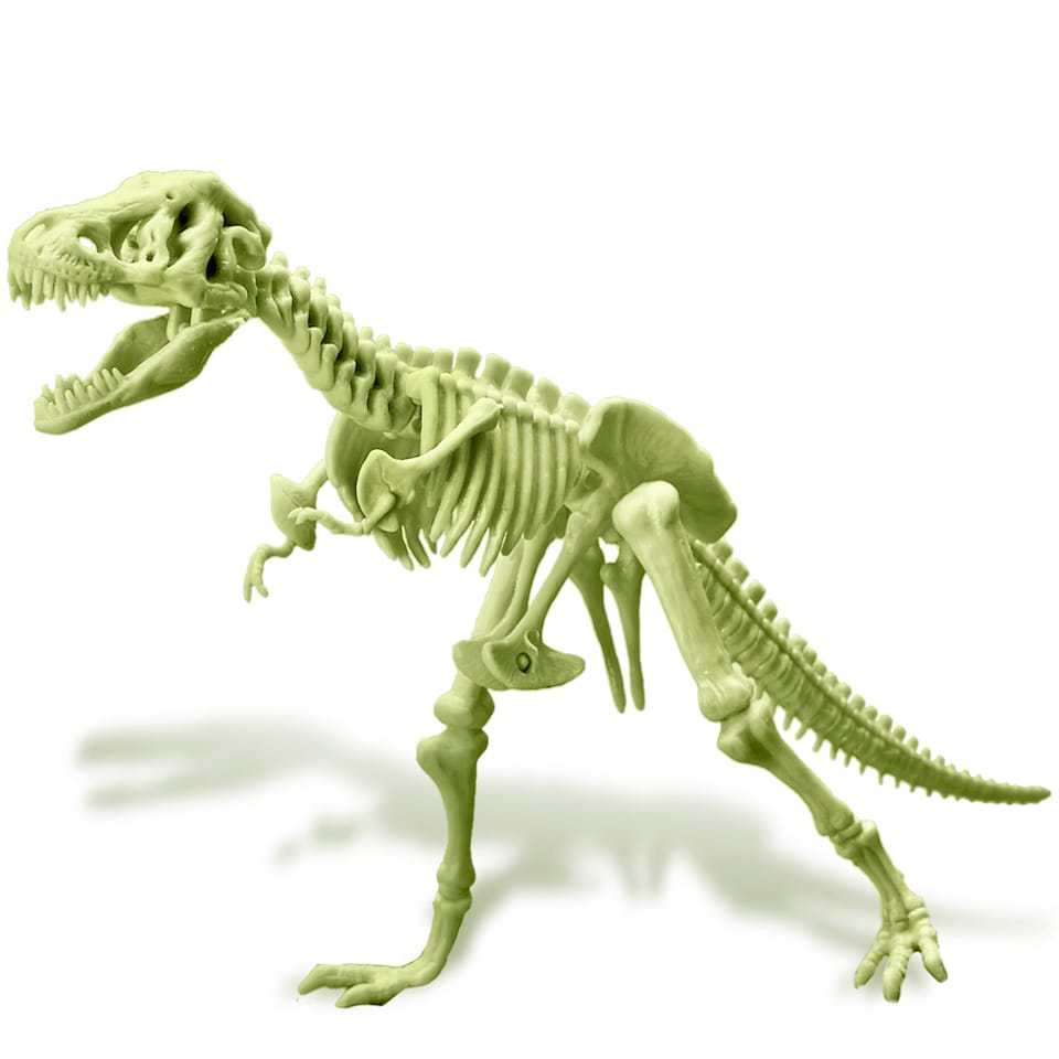 image 1 of Kidzlabs - Glowing T-Rex Skeleton