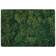 Natural Green Moss Designer Rug | Multi