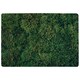 image 1 of Natural Green Moss Designer Rug | Multi