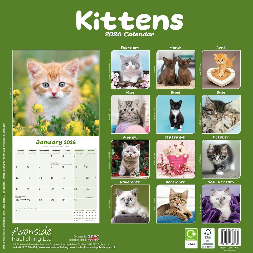 image 1 of Kittens 2026 Calendar | Square Wall Calendar | Cat Gift | Plastic Free Packaging | by Avonside Publishing