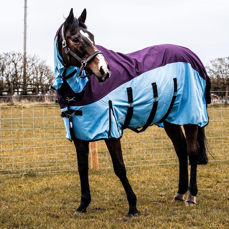 image 1 of eQuitack 600D 2 in 1 Waterproof Fly Turnout Mesh Horse Rug Fixed Neck Burgundy/Blue 6'9''