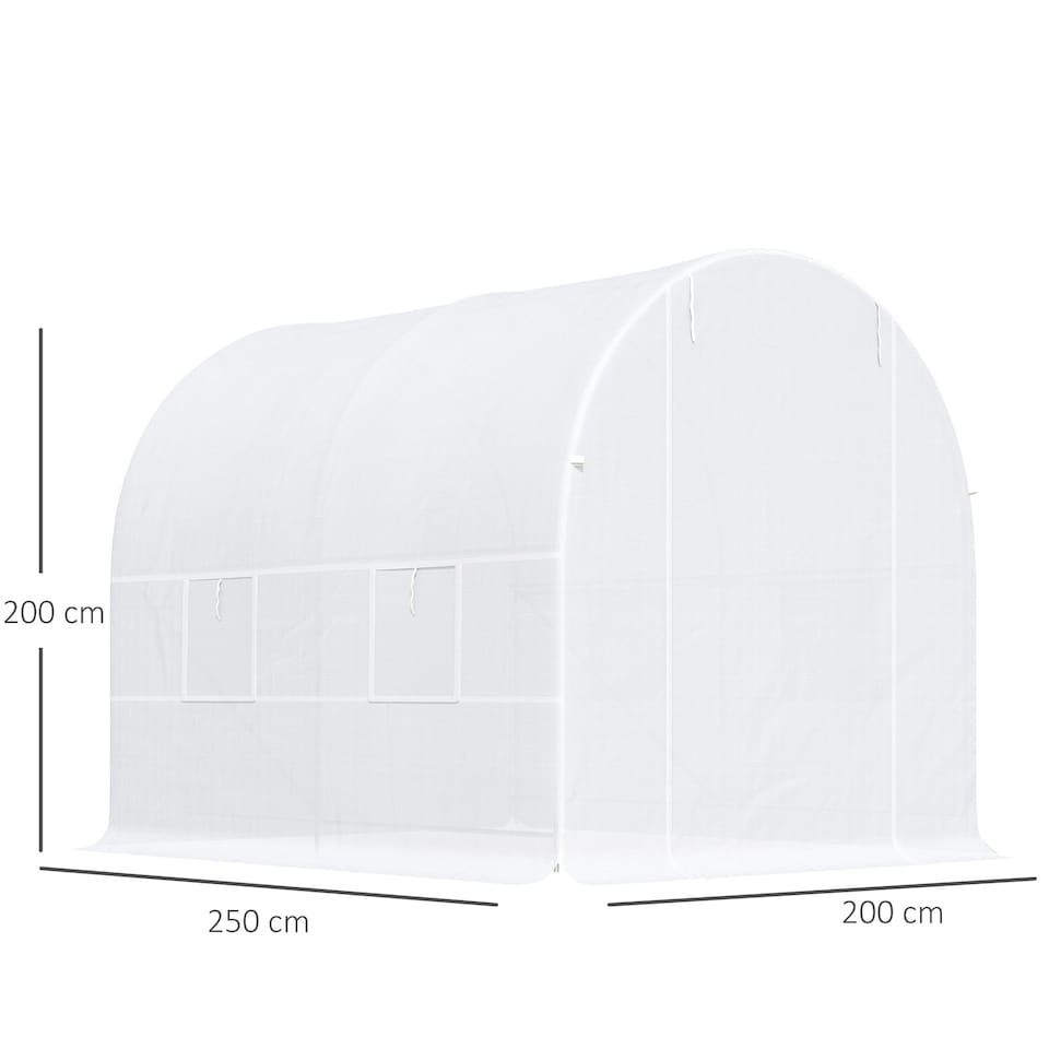 image 1 of Outsunny Greenhouse Solid Frame Walk-in Garden Grow Large Insect Poly Tunnel