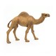 image 7 of PAPO Wild Animal Kingdom Dromedary Toy Figure