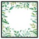 image 2 of Light botanical leaves (Picture Frame) White | M