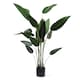 image 1 of 160Cm Bird Of Paradise Tree Green | One Size