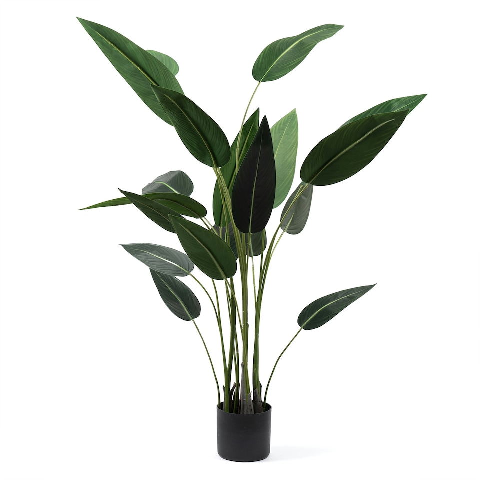 image 1 of 160Cm Bird Of Paradise Tree Green | One Size