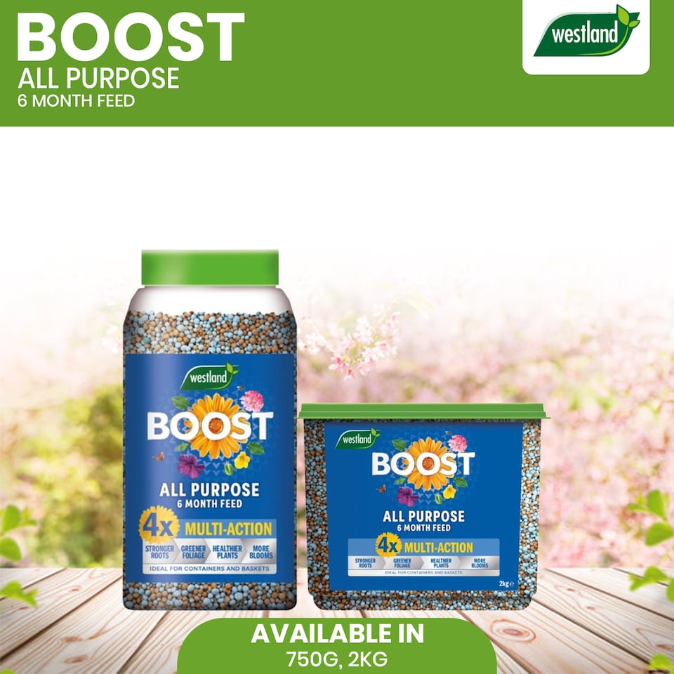 image 1 of Westland Boost All Purpose Plant Food 750g Slow Release Granules 6 Month Feed for Flowers Fruits Vegetables Healthy Growth