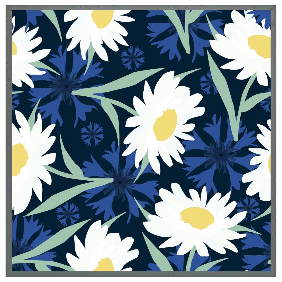 image 1 of Daisies on navy (Picutre Frame) White | XL