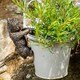 image 2 of Antique Bronze Coloured West Highland Terrier Pot Buddy Plant Pot Hanger