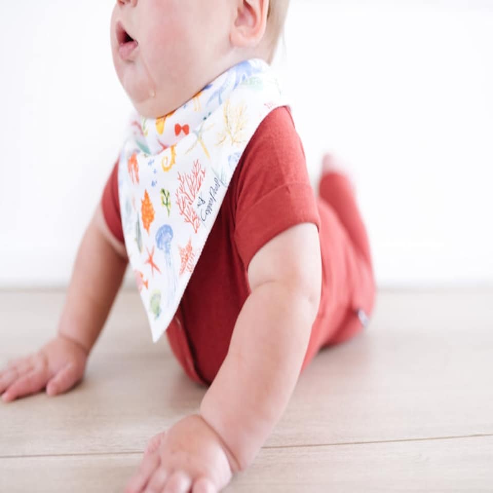 image 1 of Copper Pearl Bibs Nautical 4Pk