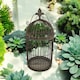 image 3 of Garden Mirror Cage - Metal - L17 x W32 x H63 cm