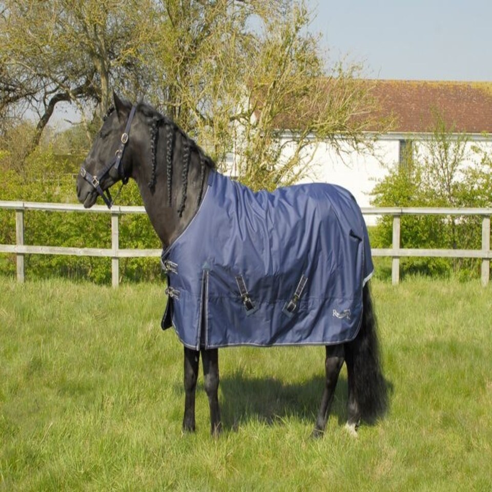 image 1 of Rhinegold Arizona Outdoor Rug Blue | Size: 6ft 9
Colour: Navy Blue
