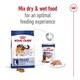 image 9 of Royal Canin Maxi Dry Adult Dog Food 3kg