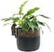 image 4 of Pug Plant Pot Hanger - L10.5 x W4.5 x H6 cm