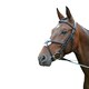image 1 of Hy Mexican Bridle with Rubber Grip Reins - Black - X Full