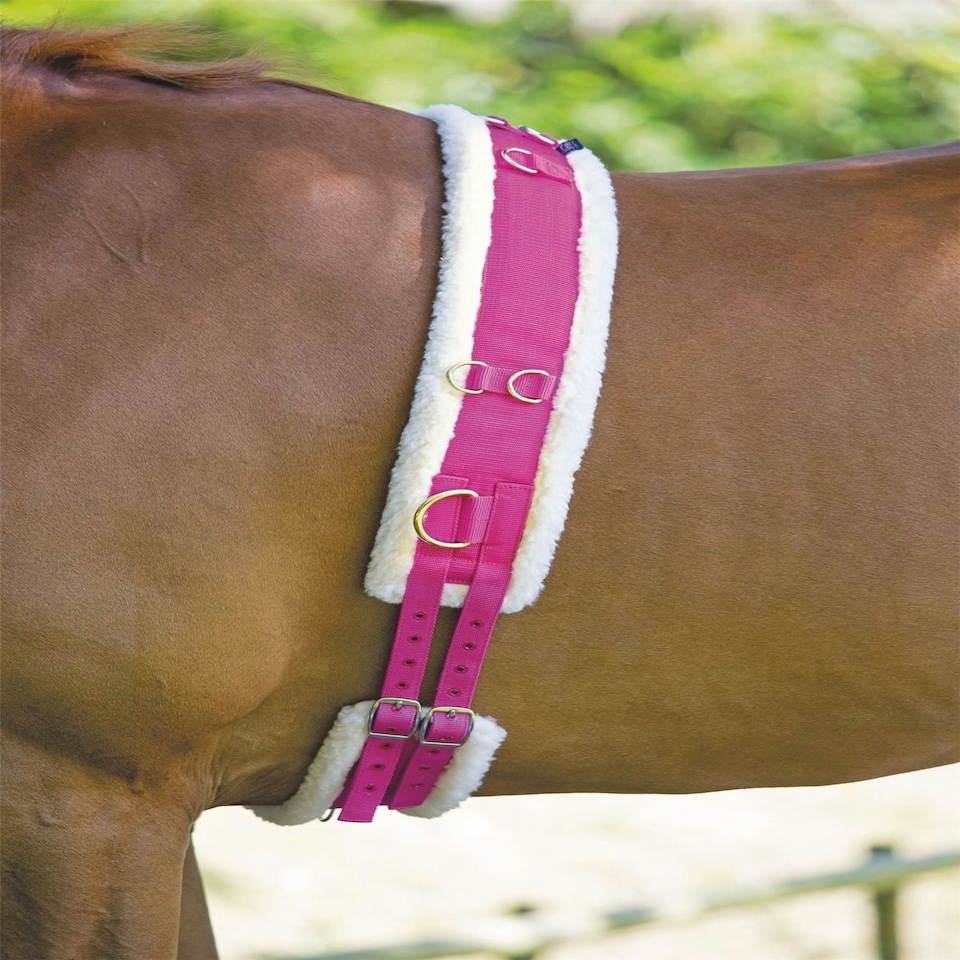 image 1 of Shires Nylon Roller With Fleece Padding Pink | Size: X-Full
Colour: Raspberry Pink