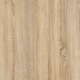image 4 of Prima Desk 150cm in Oak with Height Adjustable Legs with Electric Control in Silver Grey Steel