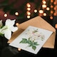 image 4 of Pierre-Joseph Redouté Art Card Noisette Rose Vintage Floral