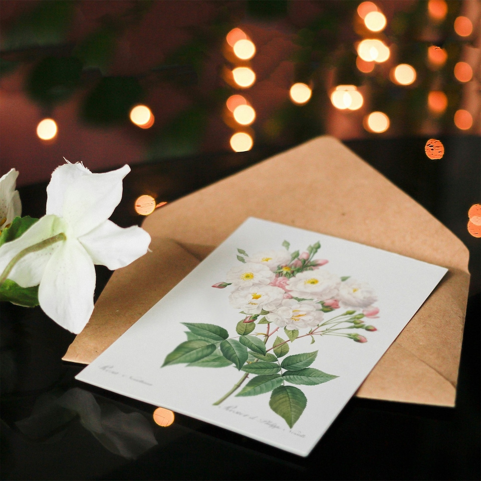 image 1 of Pierre-Joseph Redouté Art Card Noisette Rose Vintage Floral
