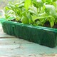 image 5 of Gro-Sure Visiroot Seed Trays 4 Pack Transparent RPET Propagation Trays