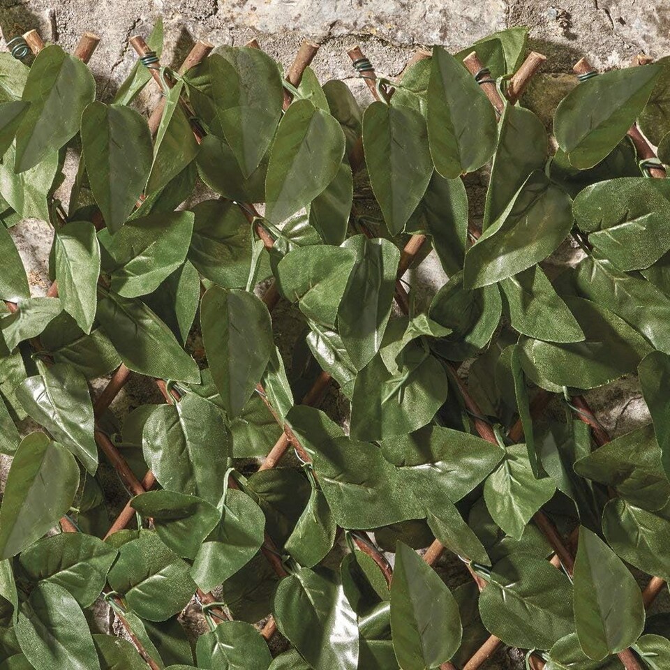 image 1 of Artificial Ivy Hedge Trellis 1 x 2m Expandable Privacy Screening Panel for Gardens, Balcony and Terraces