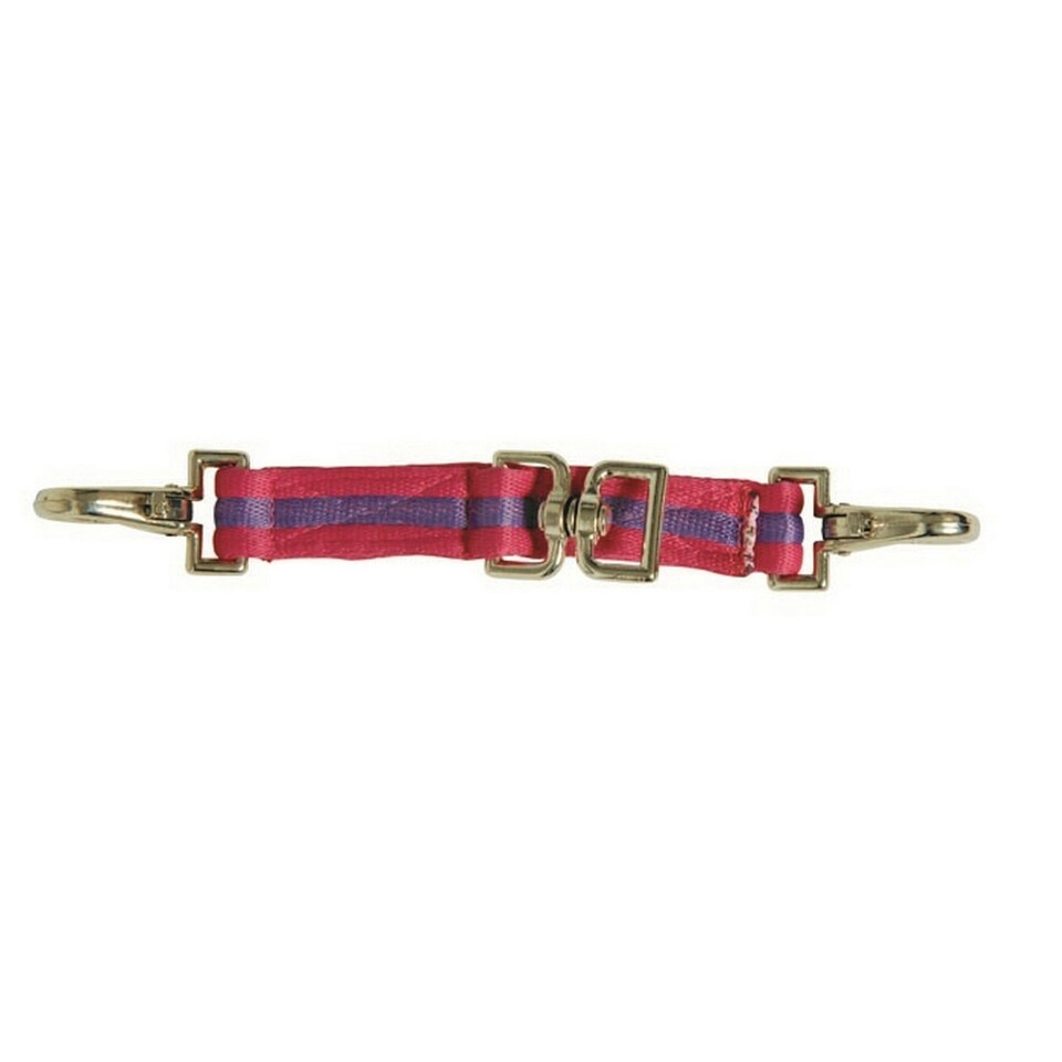Kincade Two Tone Lunging Attachment - Pink/Purple - One Size