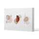 image 1 of ivory, beige watercolor Illustration and gold elements (Canvas Print) 101 x 77 x 4cm