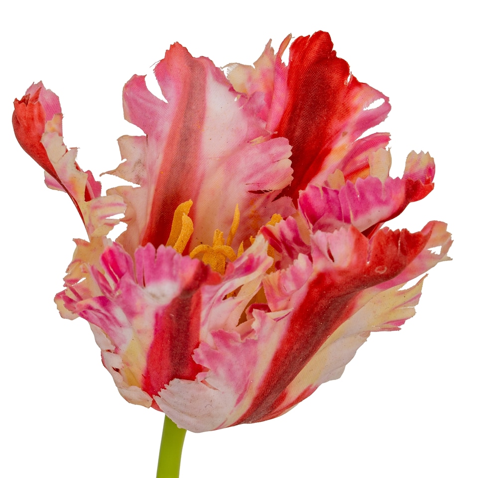 image 1 of Hill Interiors Parrot Tulip Artificial Flower | Green | Green/Pink | One Size | 1