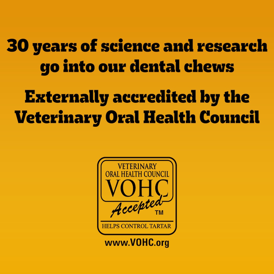 image 1 of 140 Pedigree Dentastix Fresh Adult Small Dog Treats 140 Dental Sticks Dog Chews