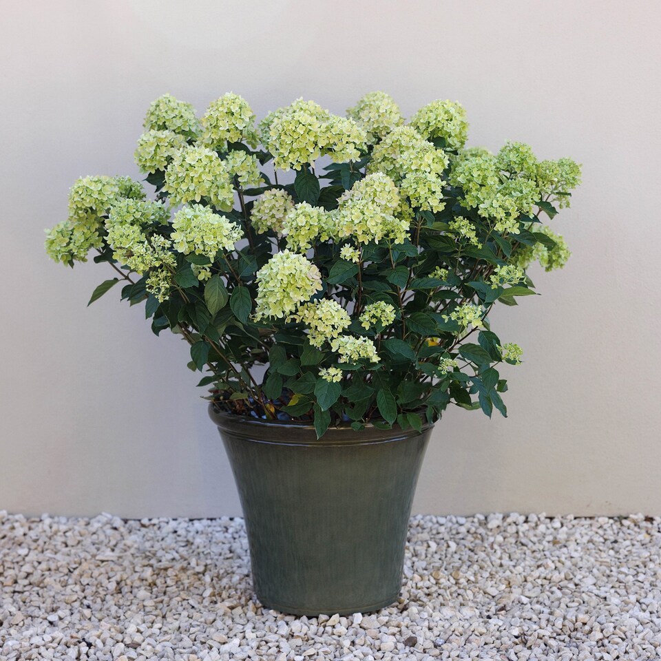 image 1 of Glazed Green Ceramic Look Tapered Outdoor Garden Planter 45.5cm | Green | Green | Large H40 x Ø45.5 cm