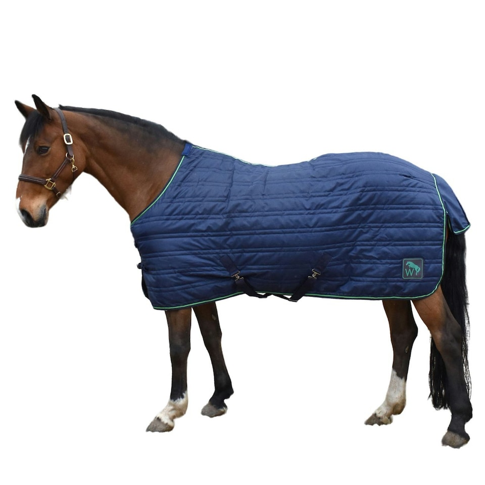 Whitaker Pippa Standard-Neck 100g Horse Stable Rug - Navy/Green - 5´ 9"