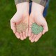 image 3 of Westland PureGreen Lawn Seed