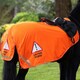 image 3 of Shires Equi-Flector® Mesh Exercise Sheet Yellow | Size: 51 Inch
Colour: Yellow