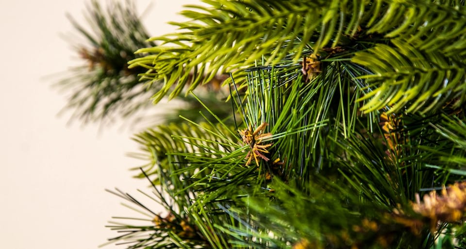 image 1 of Christmas Tree World  6ft/180cm Foresta Pine Christmas Tree
