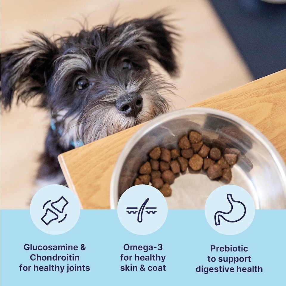 image 1 of Tails.com Inner Vitality Dry Dog Food Toy & Small Adult Chicken 4 x 2kg