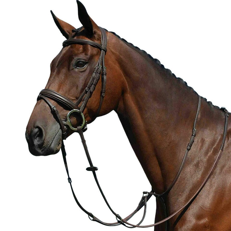 Collegiate Syntovia+ Plain Flat Running Martingale - Brown - Cob