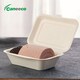 image 2 of Bagasse Sugarcane Takeaway Boxes 7x5 Clamshell Containers, PFAS Free, TUV Home Compostable Certified Food Boxes for Hot & Cold Meals, Restaurants, Parties & Catering