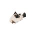 image 3 of Royal Canin Cat Hairball Care 4KG