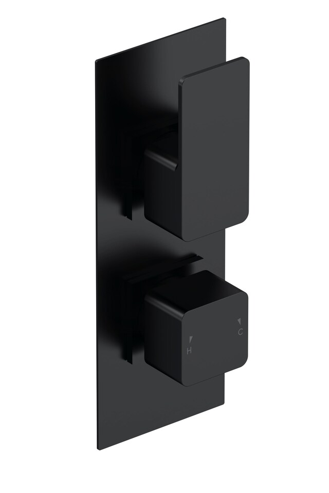 image 1 of Concealed Twin Thermostatic Shower Valve Diverter Matt Black 215mm | Black | Matt Black | 1