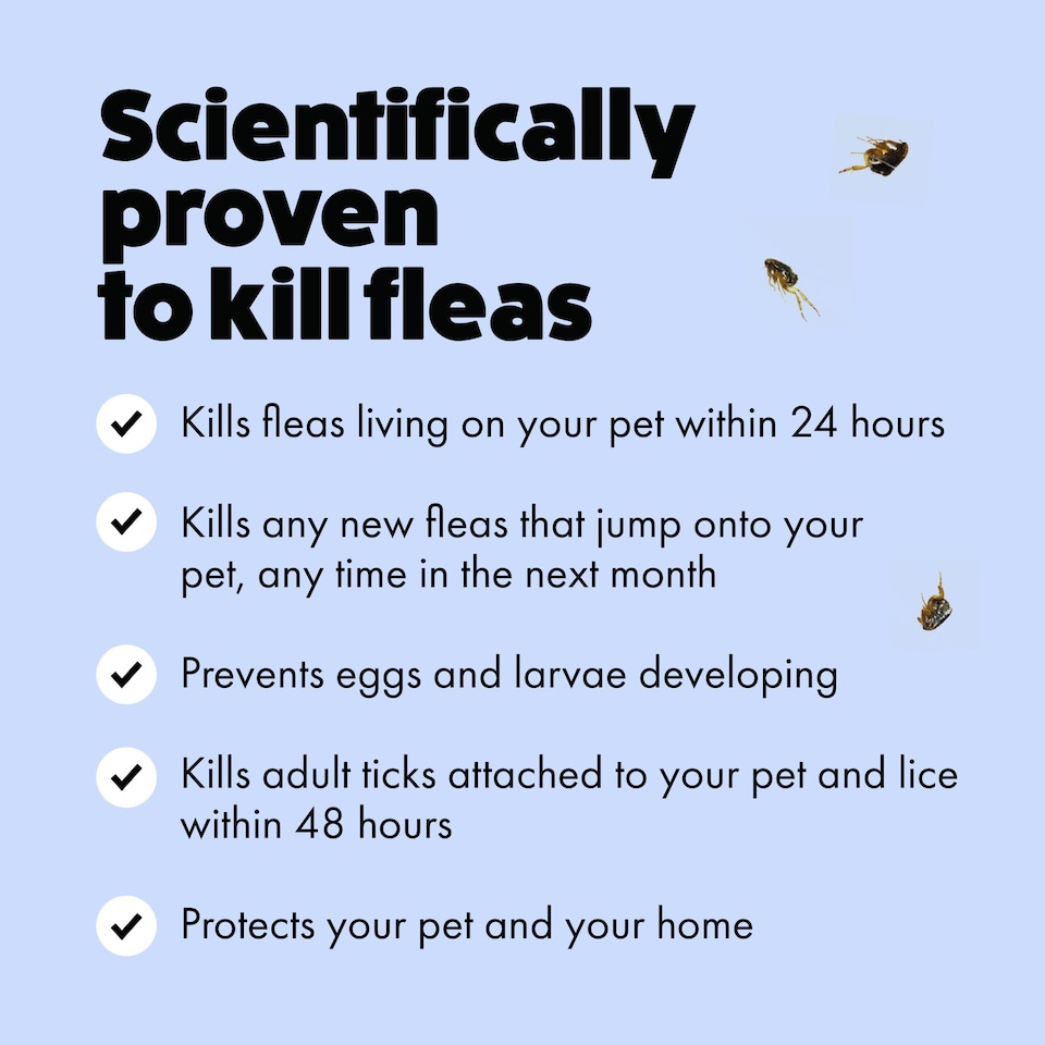 image 1 of Itch Flea Extra Large Dog Flea & Tick Spot On Treatment 1 Pipette (40+kg)