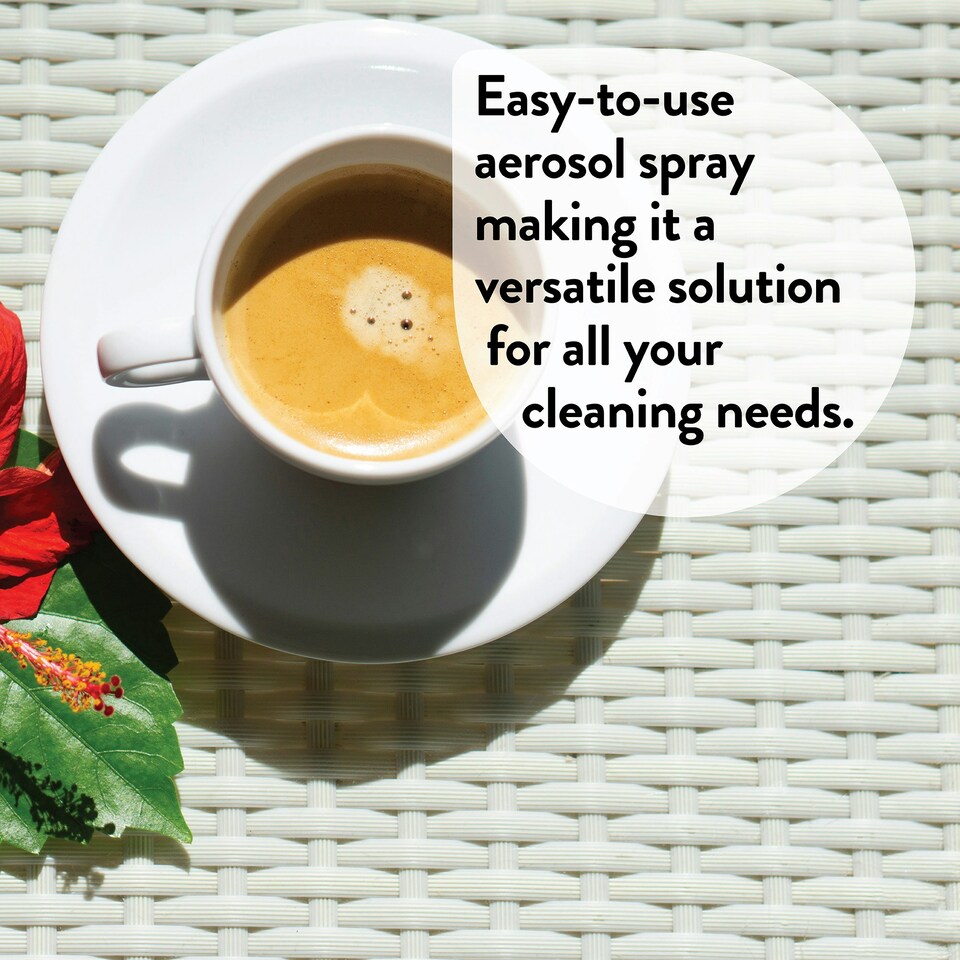 image 1 of Glean Rattan Furniture Foaming Cleaner - 500ml