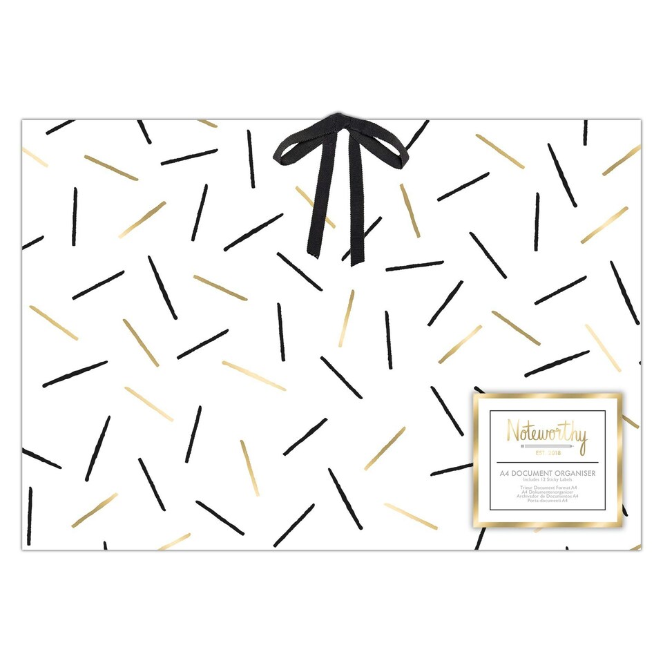 A4 Document Organiser- Metallic Mono - NOT 245120