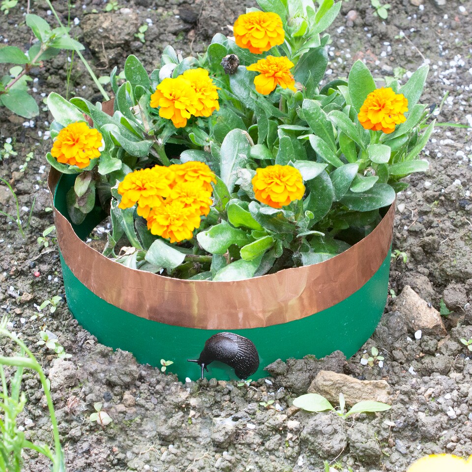 image 1 of Katcha Slug & Snail Barrier Circles 4m